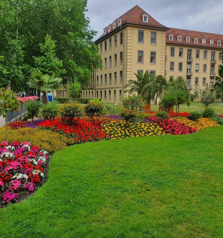 WEICHE Freiburg